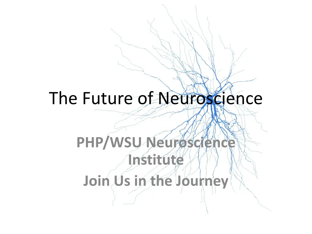 the future of neuroscience 1
