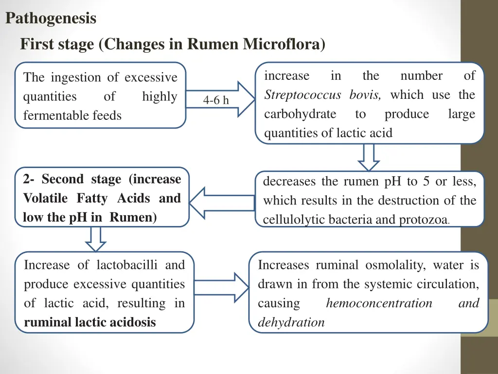 pathogenesis first stage changes in rumen