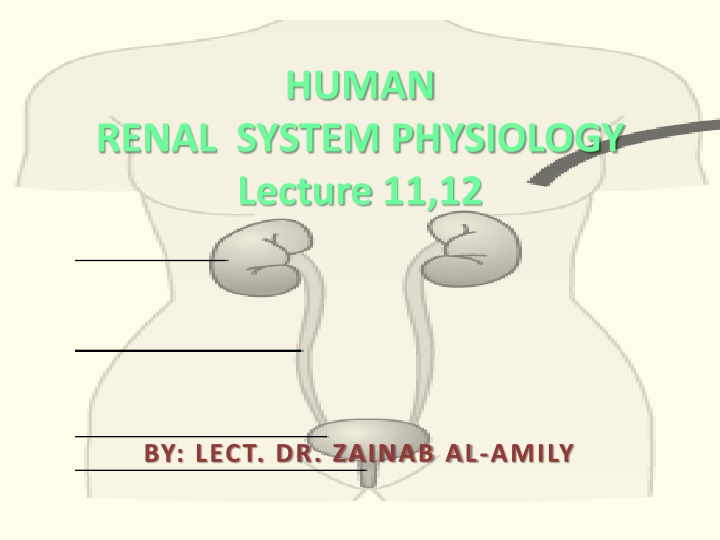 human