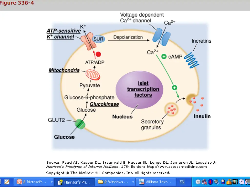 slide16