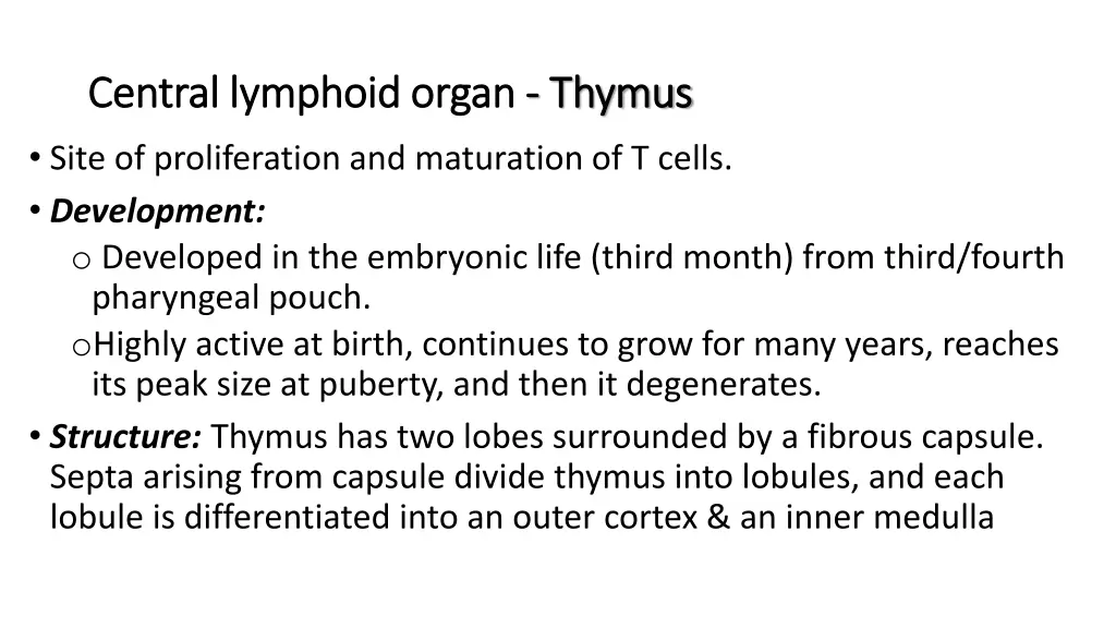 central lymphoid organ central lymphoid organ 2