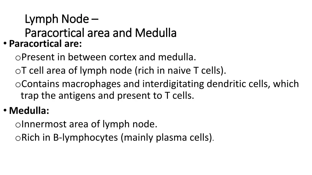 lymph node lymph node paracortical paracortical