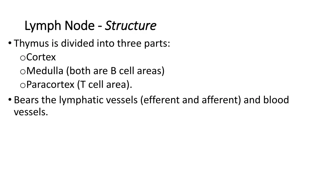lymph node lymph node structure thymus is divided