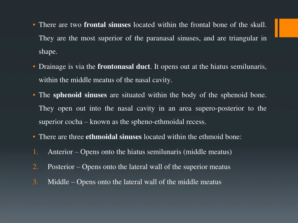 there are two frontal sinuses located within