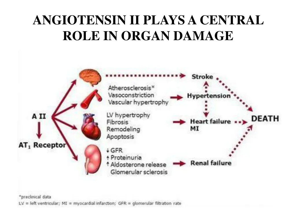 angiotensin ii plays a central role in organ