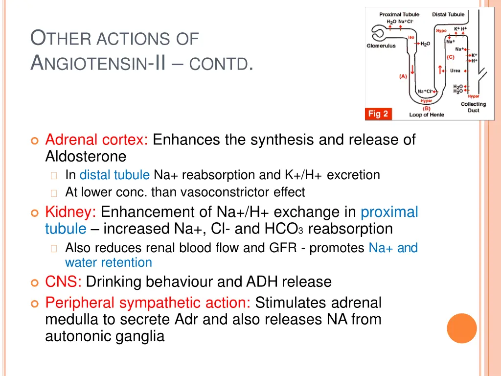 o ther actions of a ngiotensin ii contd