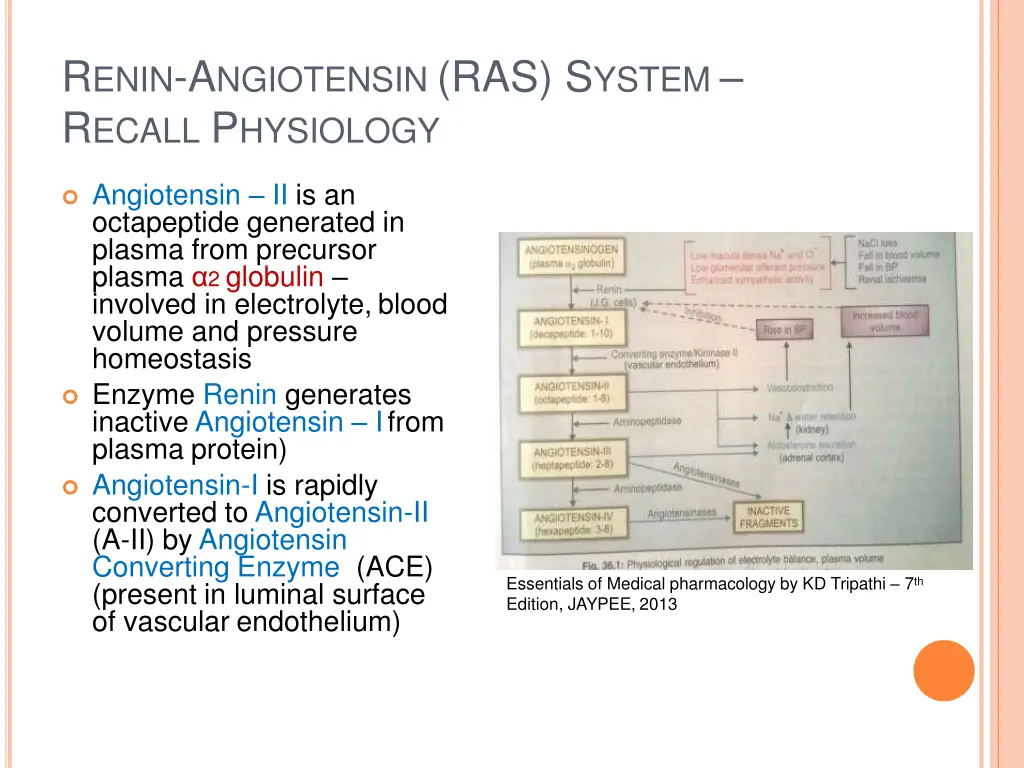 r enin a ngiotensin ras s ystem r ecall