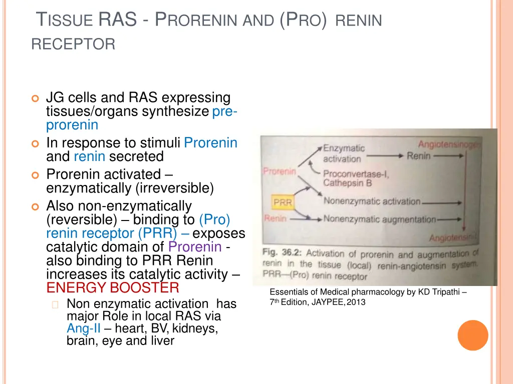 t issue ras p rorenin and p ro renin receptor