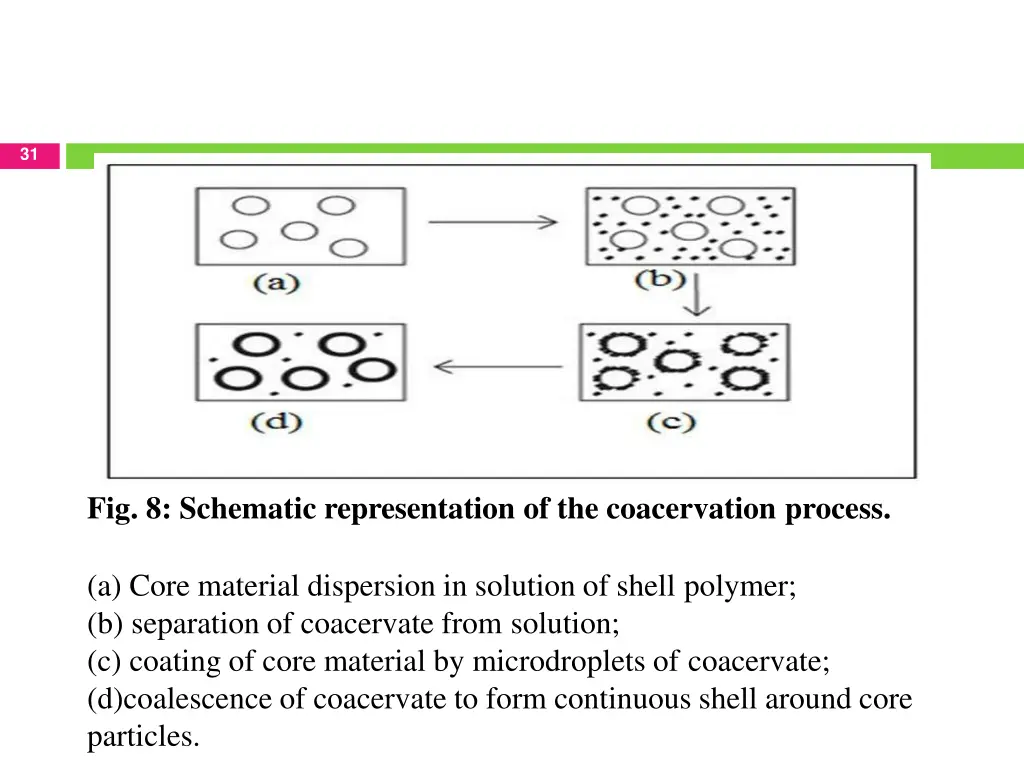 slide31