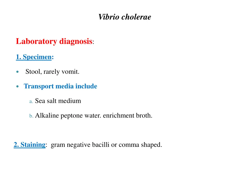 vibrio cholerae 1