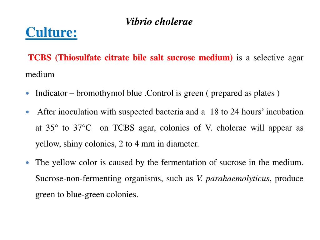 vibrio cholerae 2