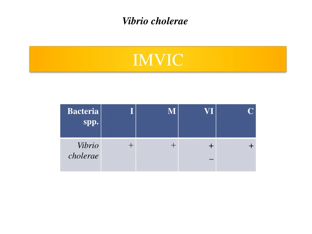 vibrio cholerae 5