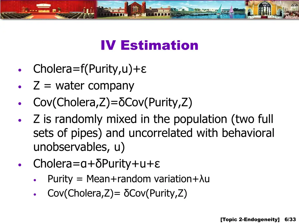 iv estimation