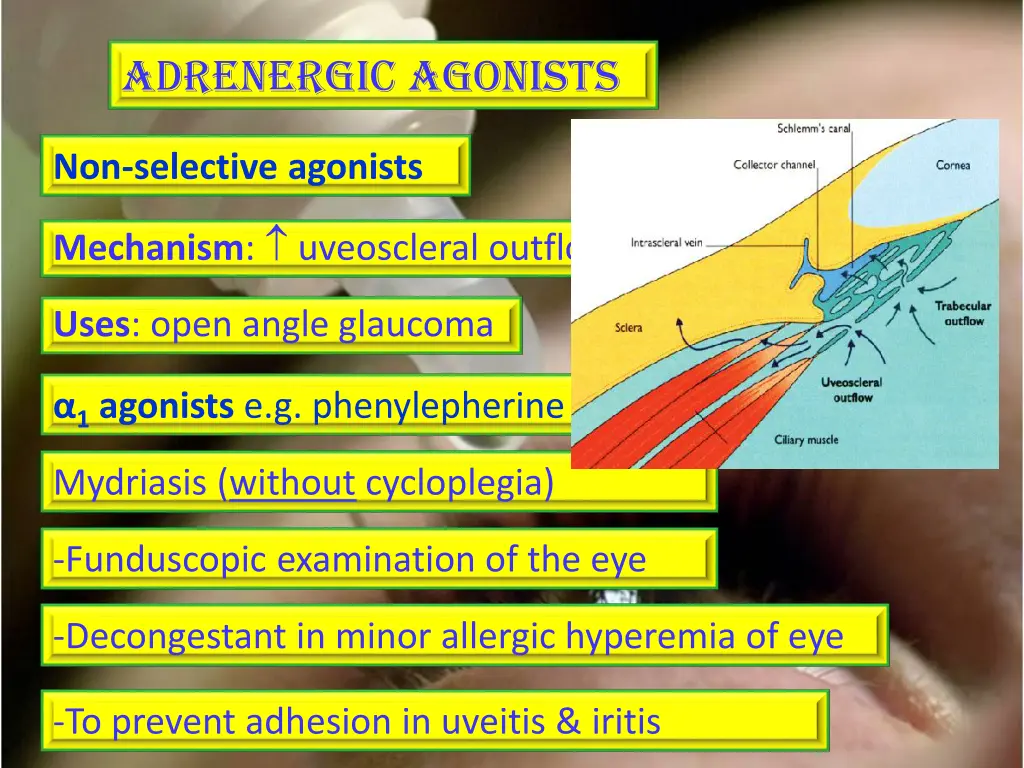 adrenergic agonists