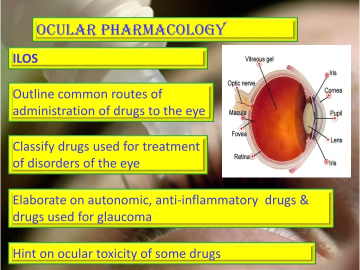 ocular pharmacology
