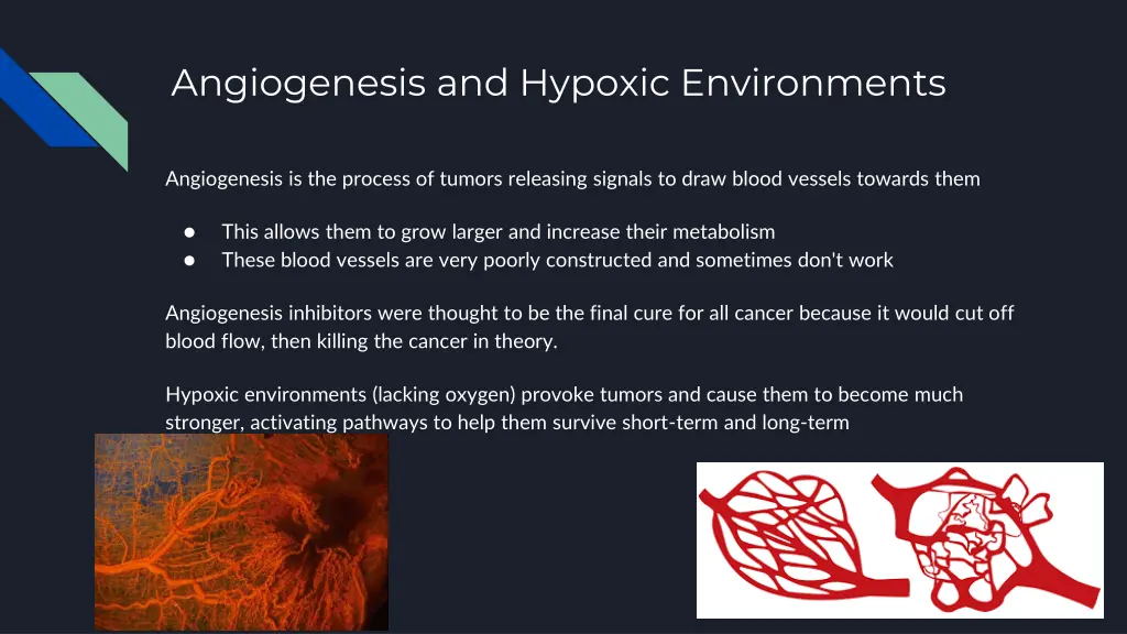 angiogenesis and hypoxic environments