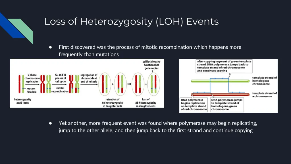 loss of heterozygosity loh events