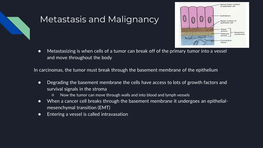 metastasis and malignancy