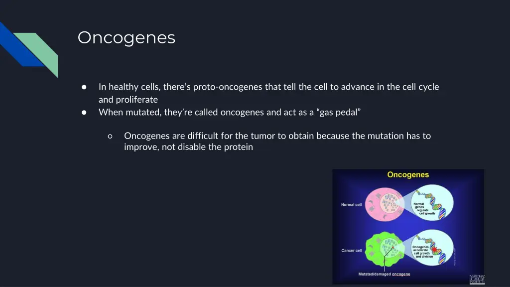 oncogenes