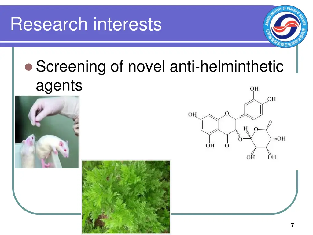 research interests 3