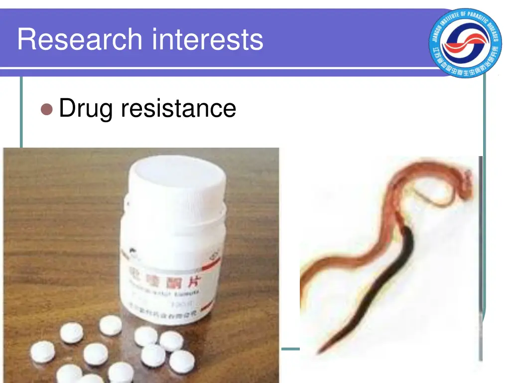 research interests 4
