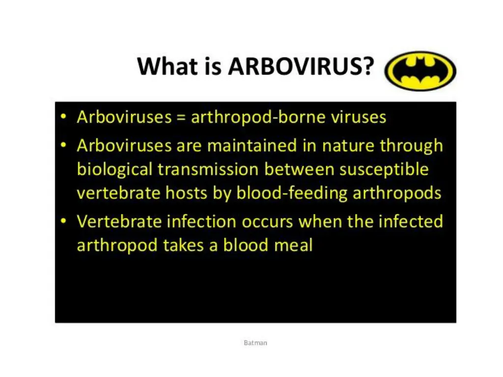 slide4