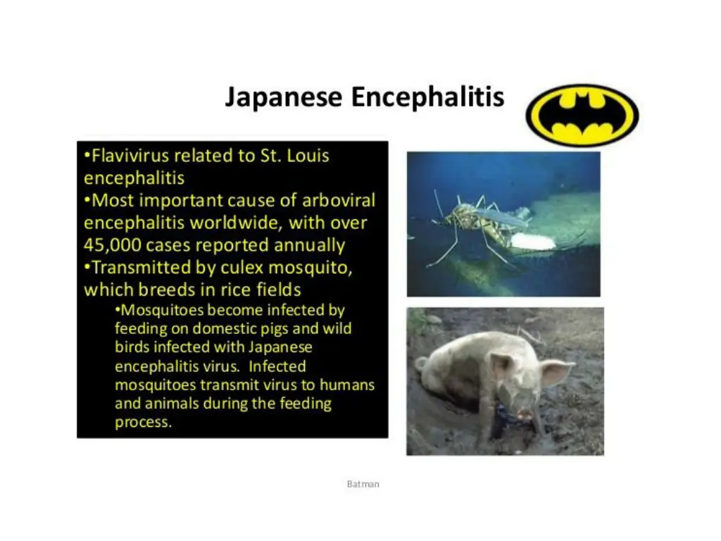 slide7