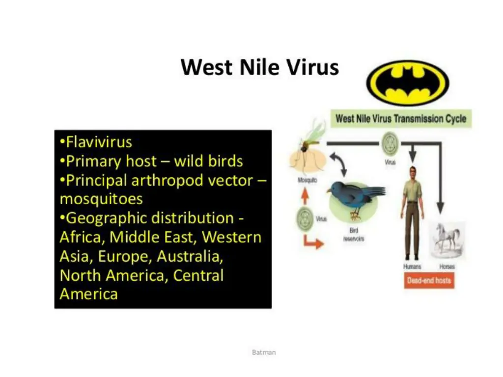slide8