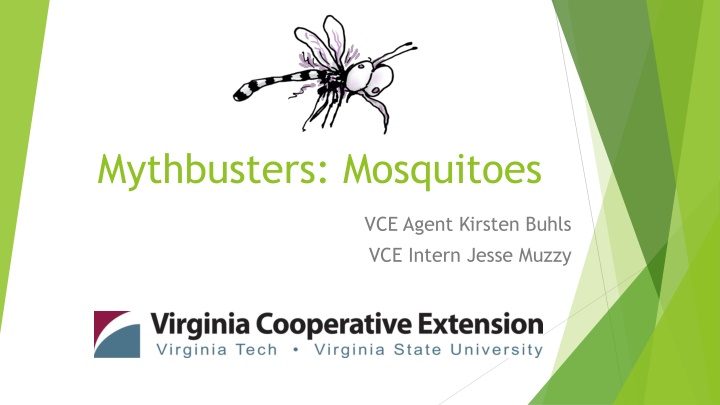 mythbusters mosquitoes