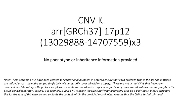 cnv k