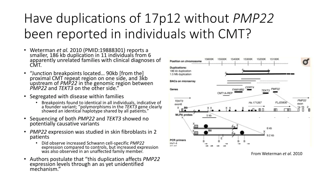 have duplications of 17p12 without pmp22 been