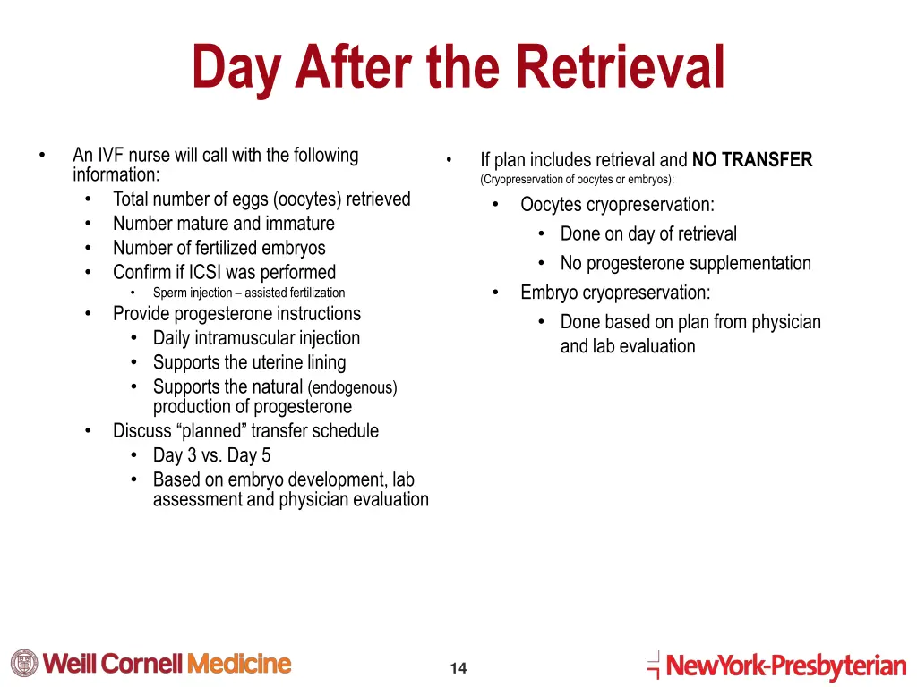 day after the retrieval