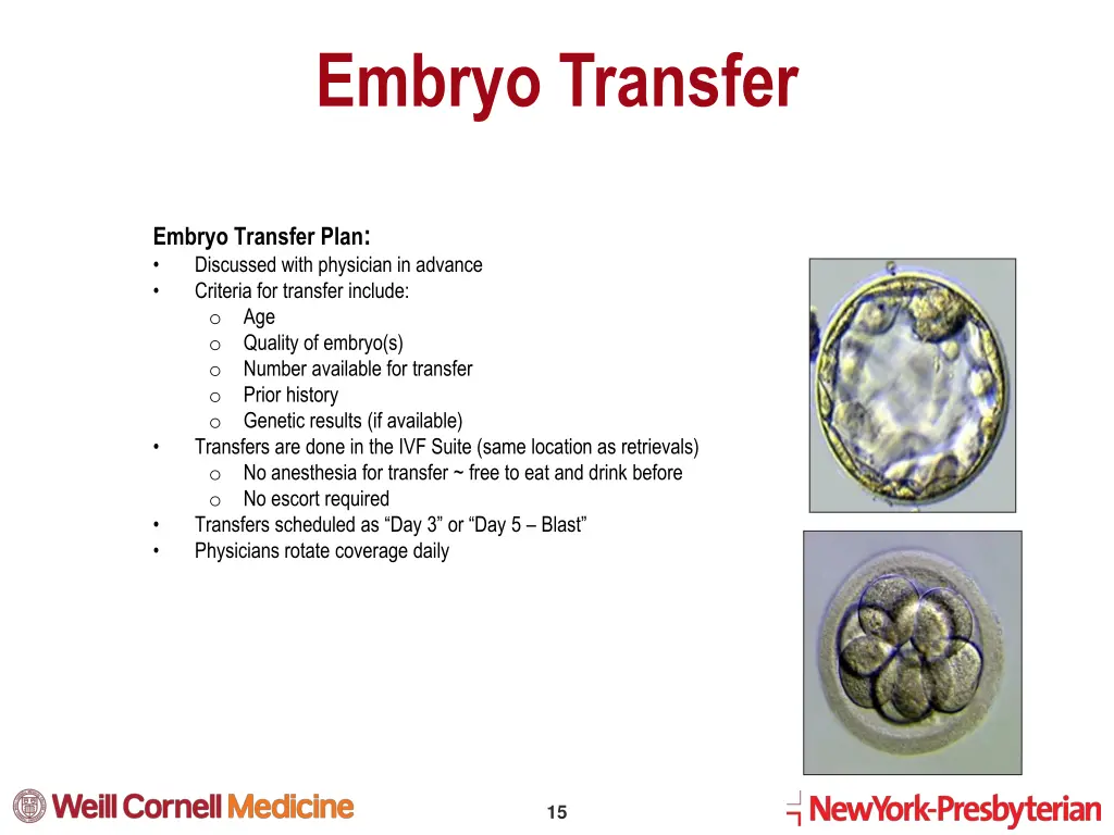 embryo transfer