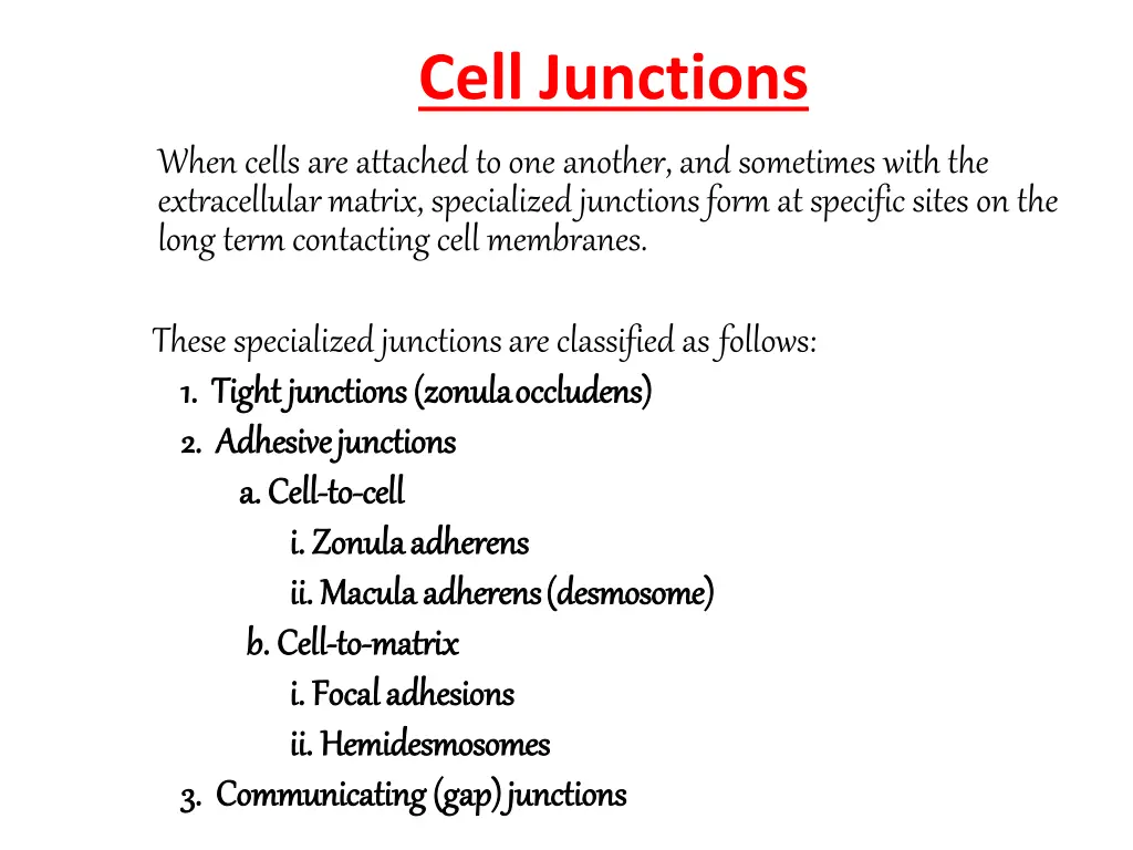 cell junctions