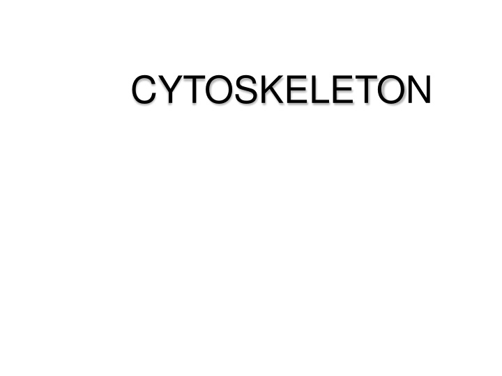 cytoskeleton