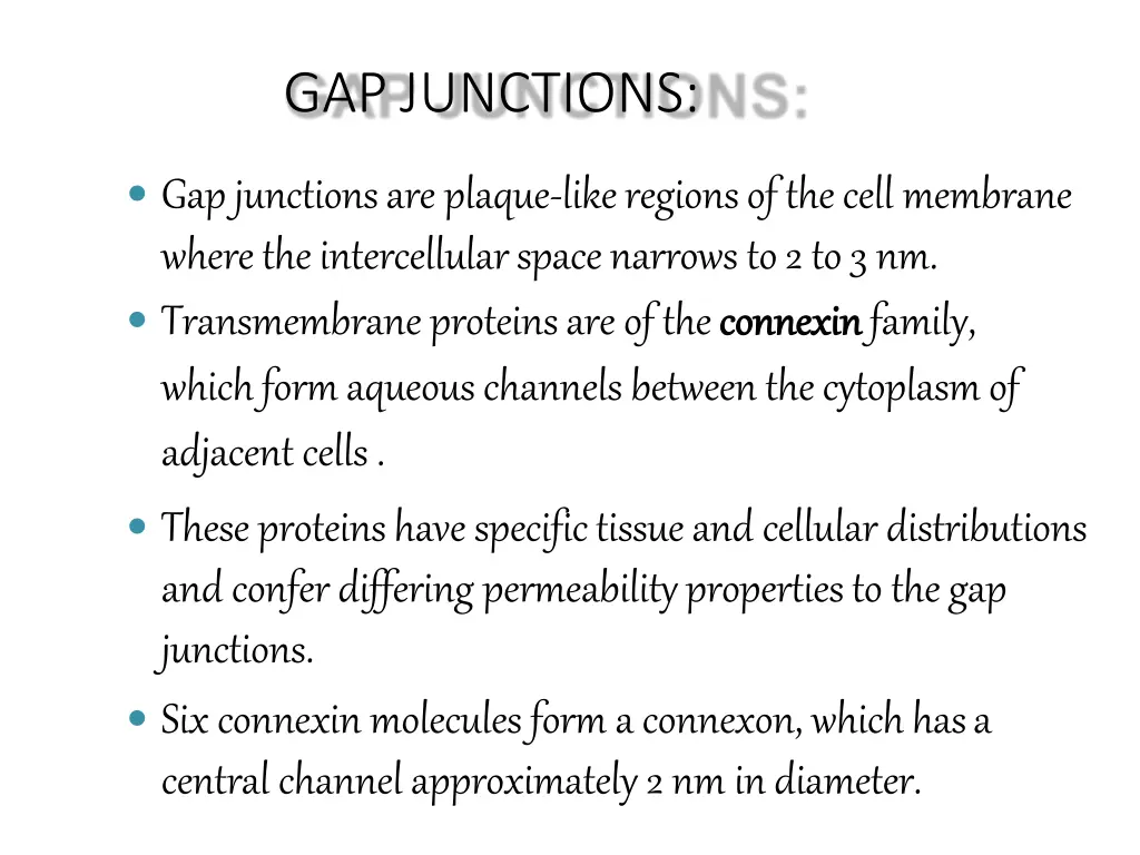 gapjunctions