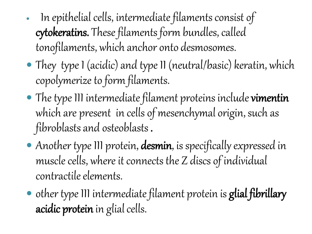 in epithelial cells intermediate filaments