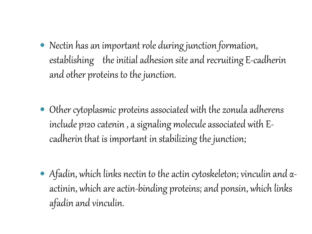 nectin has an important role during junction