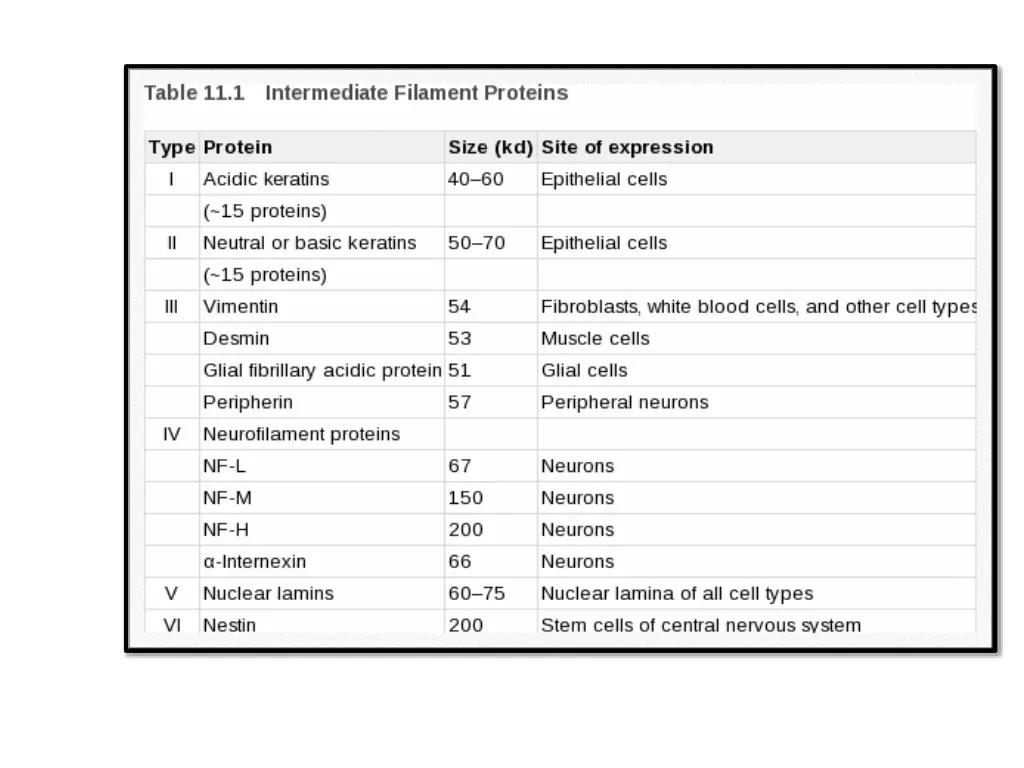 slide11