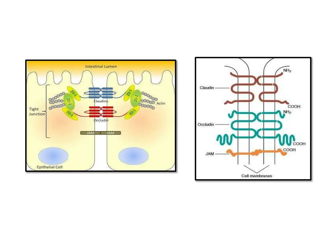 slide22