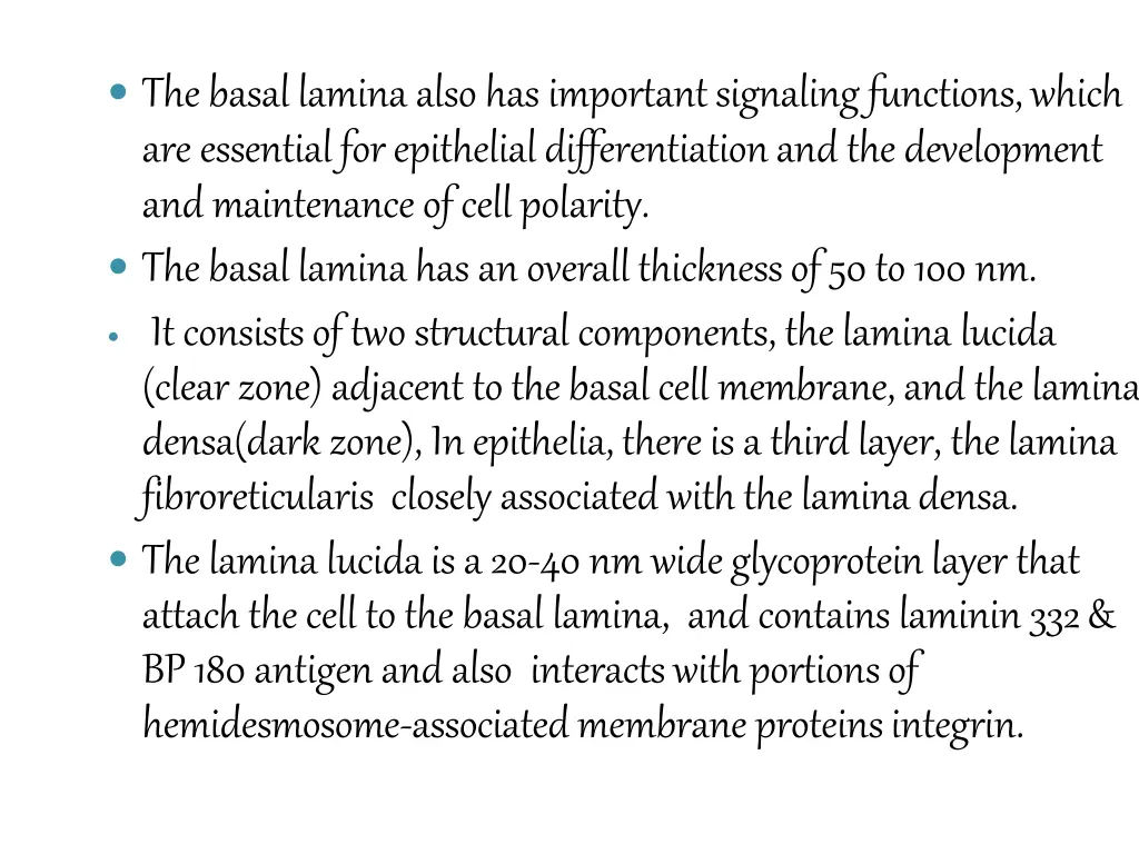 the basal lamina also has important signaling