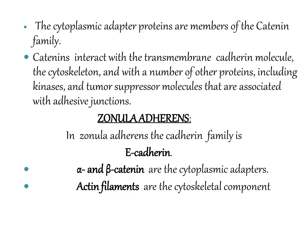 the cytoplasmic adapter proteins are members