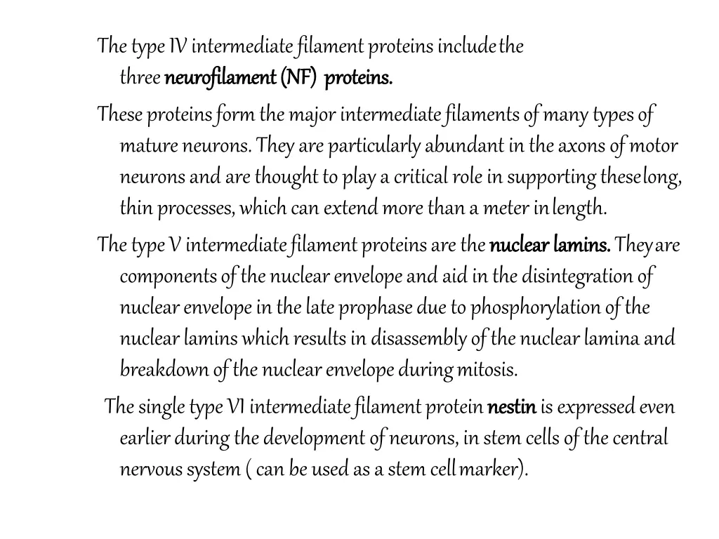 the type iv intermediate filament proteins