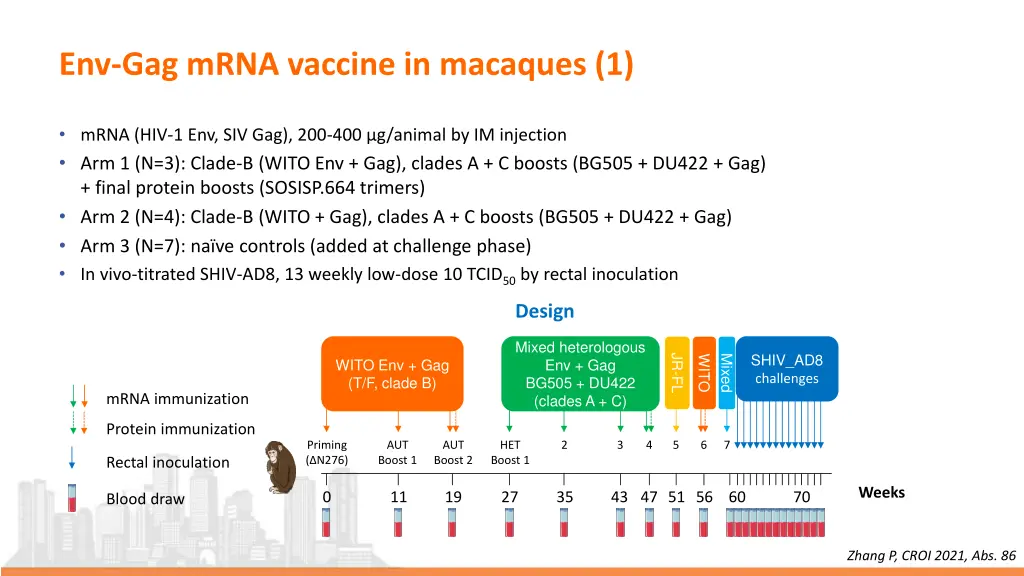 env gag mrna vaccine in macaques 1
