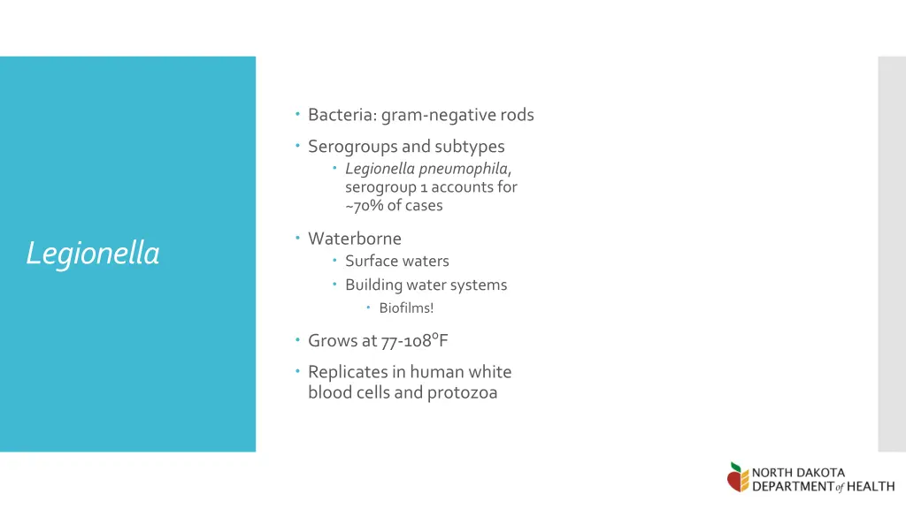 bacteria gram negative rods