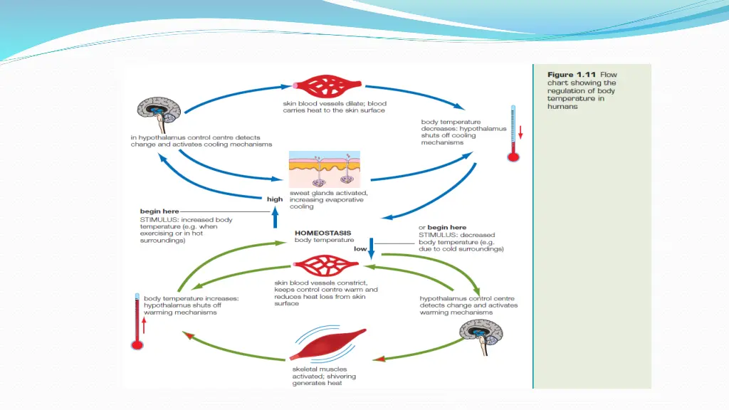 slide4