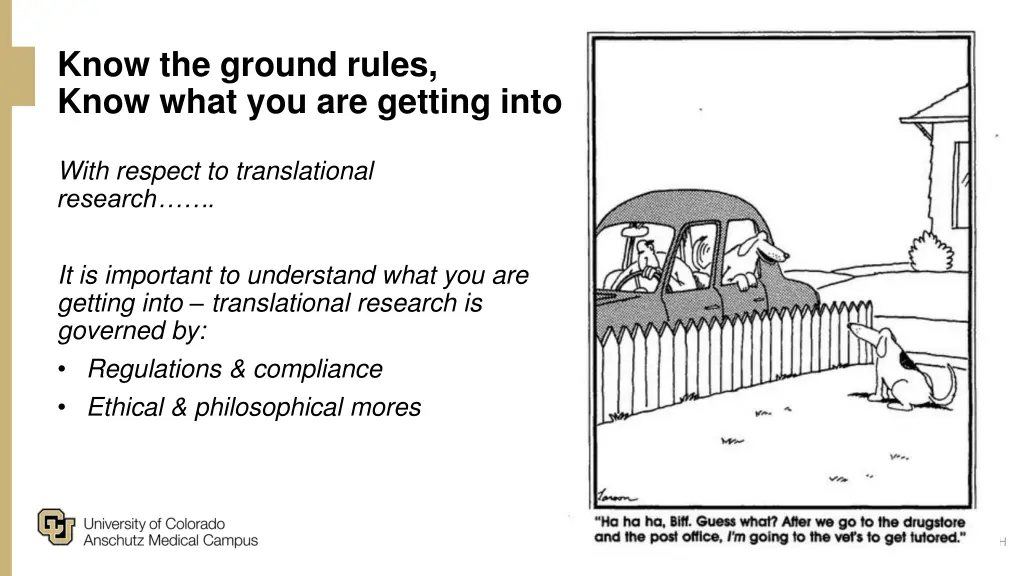 know the ground rules know what you are getting