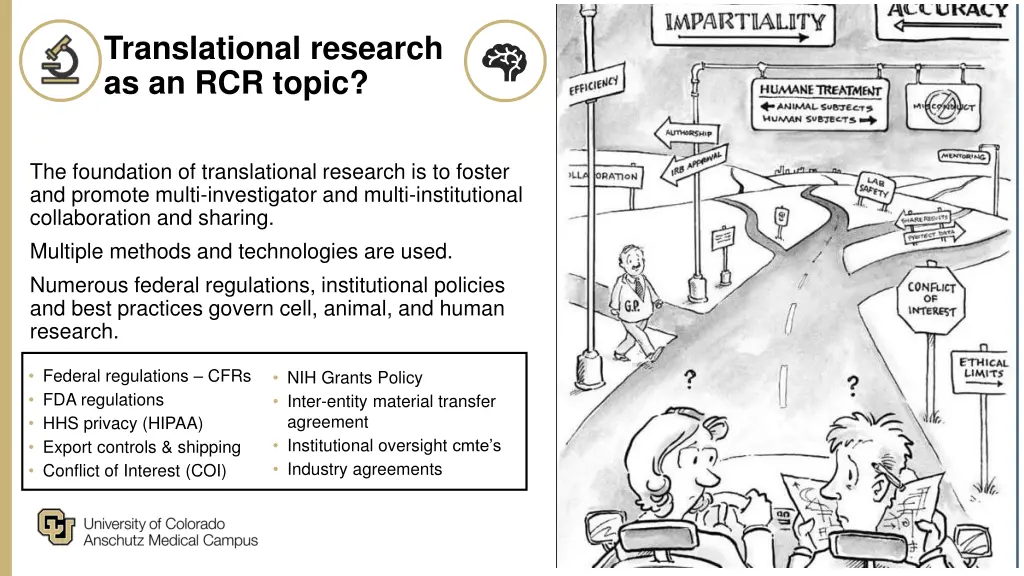 translational research as an rcr topic