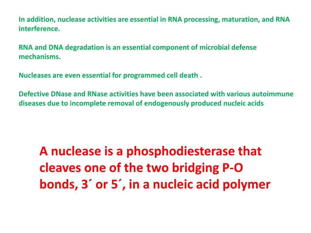in addition nuclease activities are essential