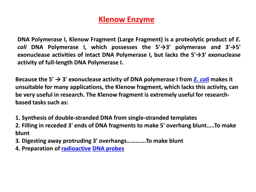 klenow enzyme
